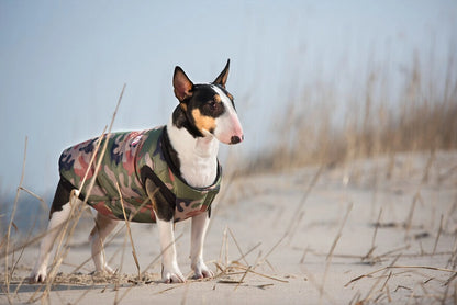 Striukė šunims Amiplay Bronx Camo