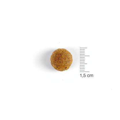 Solidary 26 sausas maistas šunims 15 kg