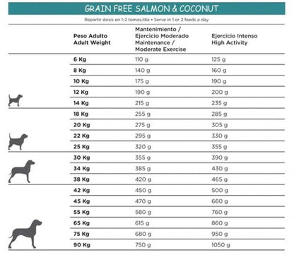 Salmon & Coconut Natural Recipe begrūdis sausas maistas šunims 3kg