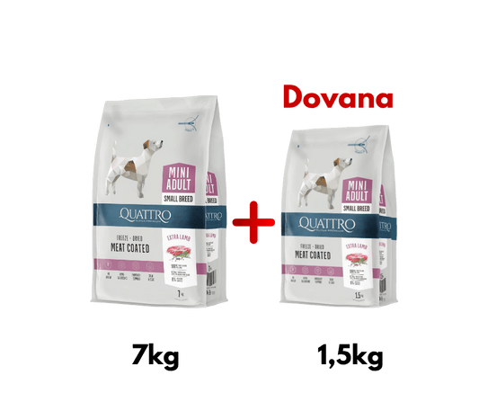 QUATTRO Mini Lamb su ėriena sausas mažų veislių šunų pašaras, 7kg