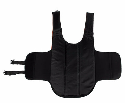 Gelbėjimosi liemenė šuniui su šviesą atspindinčias elementais, mėlyna