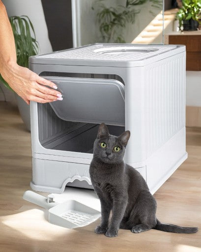 Kraiko dėžė "BeActive"