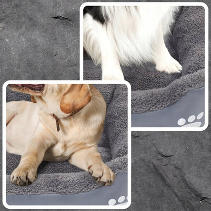 Guolis šunims "Memphis"