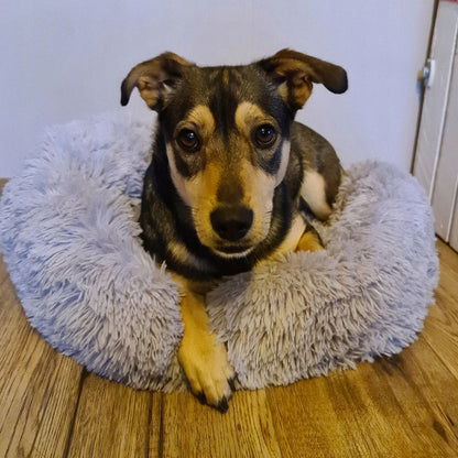 Guolis šunims pliušinis apvalus 60x60cm