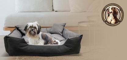 Guolis šuniukui "Ecco"