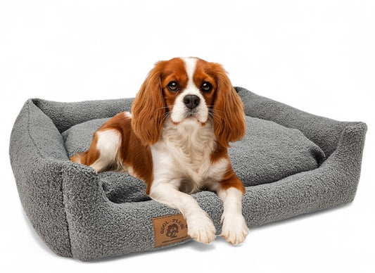 Minkštas šuns guolis, pilkas 70x60