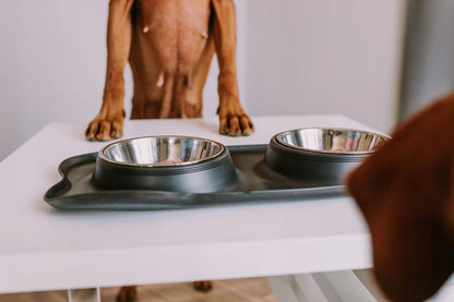 Dvigubas dubenėlis šuniui/katei 2x400ml