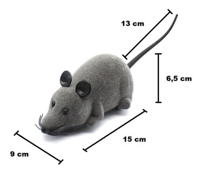 RC bangomis valdoma pelytė