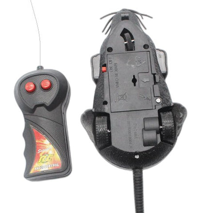 RC bangomis valdoma pelytė