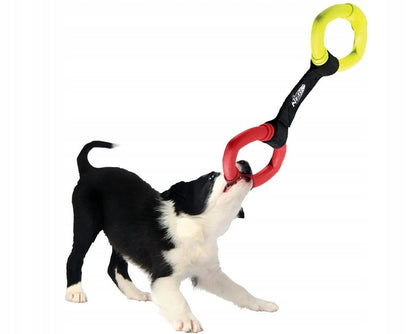 Vilkimo žaislas šuniui - Nerf Dog