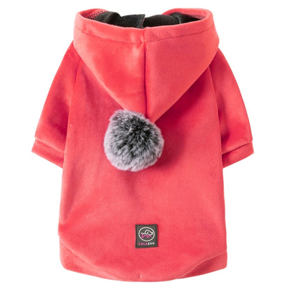 Šiltas veliūrinis megztinis šuniu