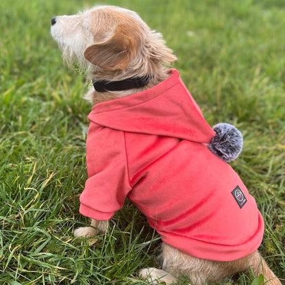 Šiltas veliūrinis megztinis šuniu