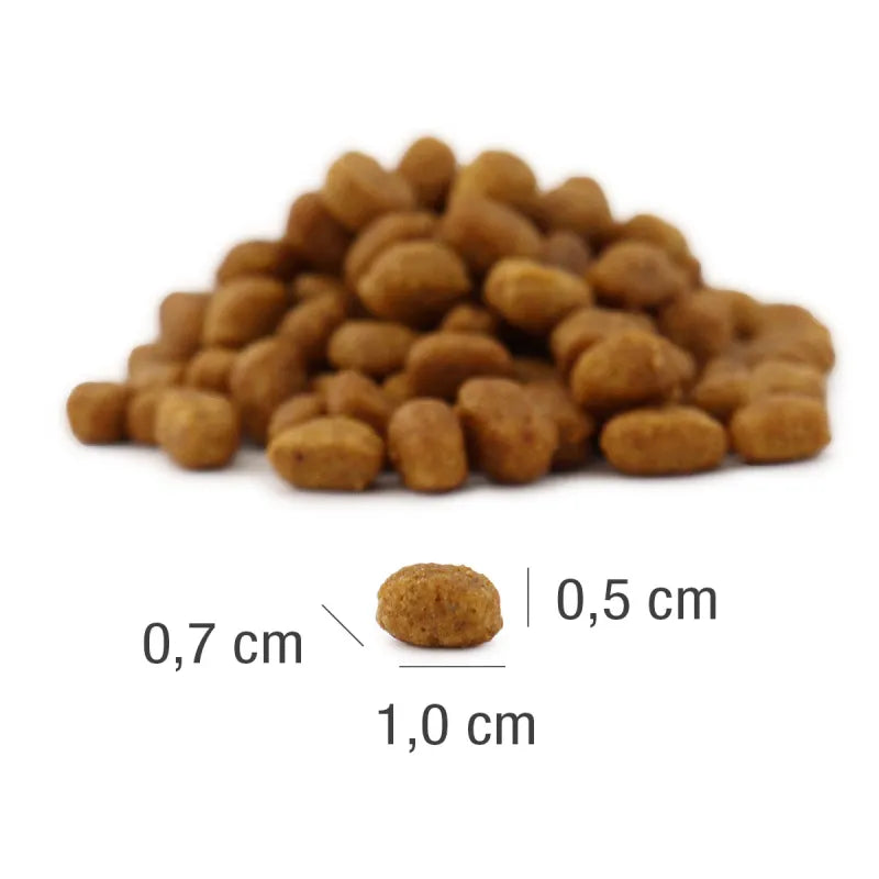 Platinum MeatCrisp sausas pašaras suaugusioms katėms su žuvimi