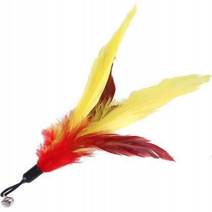 Žaislų rinkinys katėms