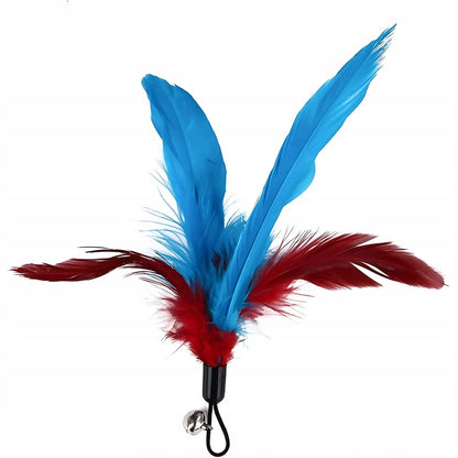 Žaislų rinkinys katėms