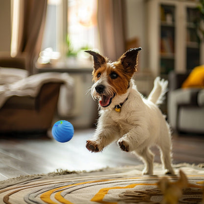 Interaktyvus kamuoliukas šunims