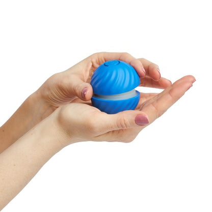 Interaktyvus kamuoliukas šunims