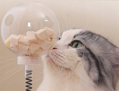 Interaktyvus žaislas katėms su kamuoliukais