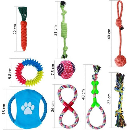 Žaislų rinkinys šunims "10 in 1"