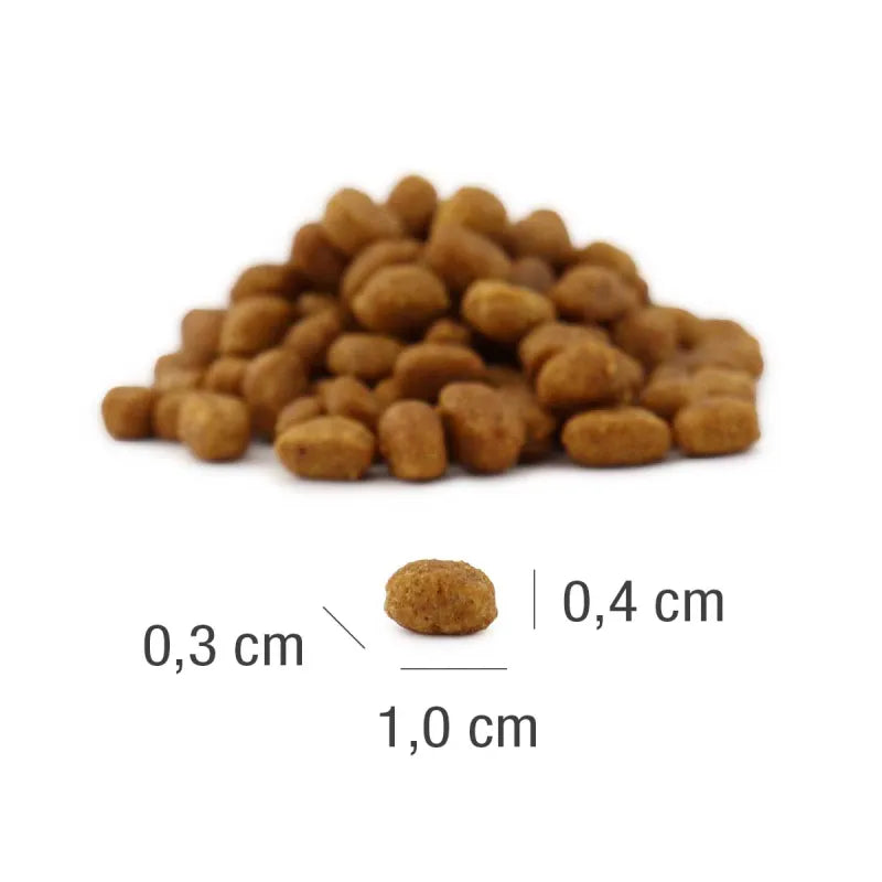 Platinum MeatCrisp Chicken subalansuotas visavertis sausas pašaras kačiukams