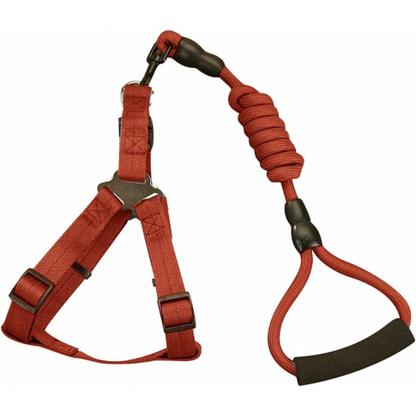 Petnešos su pavadėliu putplasčio rankena