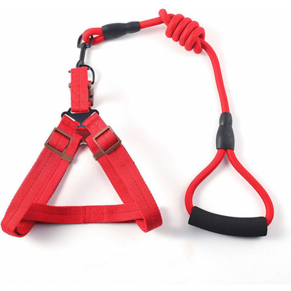 Petnešos su pavadėliu putplasčio rankena