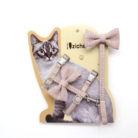 Petnešos su pavadėliu katėms